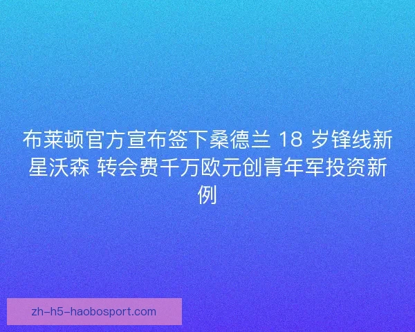 布莱顿官方宣布签下桑德兰 18 岁锋线新星沃森 转会费千万欧元创青年军投资新例